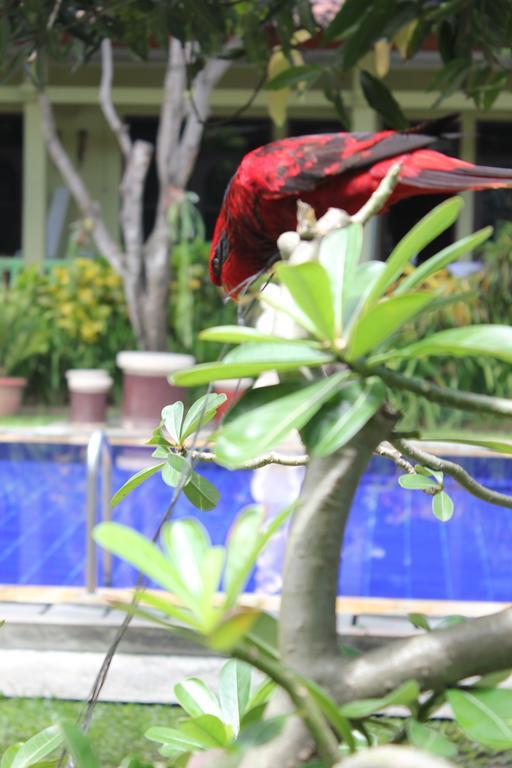 Hotel Puri Nusantara Kuta Lombok Buitenkant foto